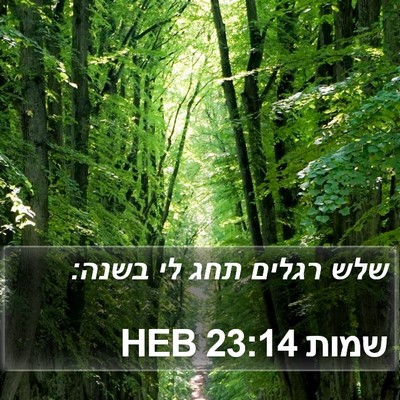 שמות 23:14 HEB Bible Verse Image