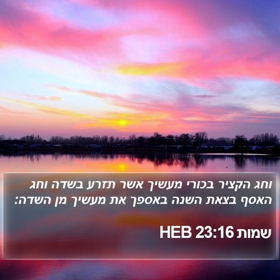 שמות 23:16 HEB Bible Verse Image