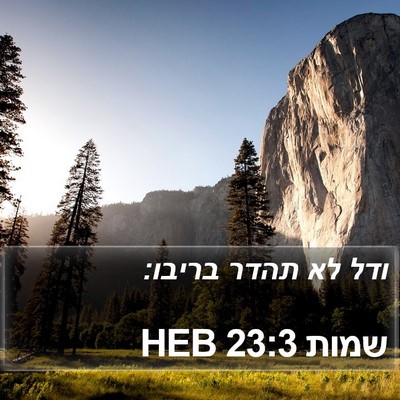 שמות 23:3 HEB Bible Verse Image