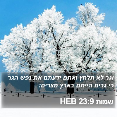 שמות 23:9 HEB Bible Verse Image