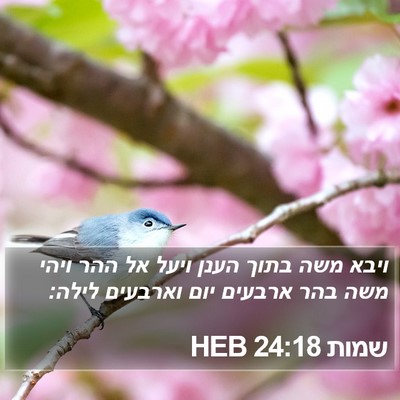 שמות 24:18 HEB Bible Verse Image