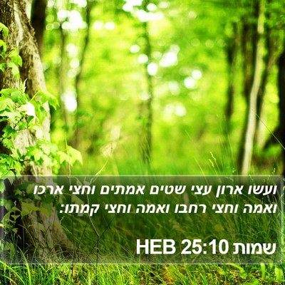 שמות 25:10 HEB Bible Verse Image