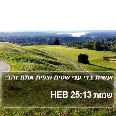 שמות 25:13 HEB Bible Verse Image