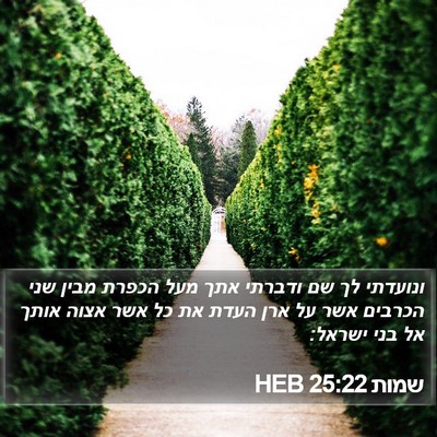 שמות 25:22 HEB Bible Verse Image