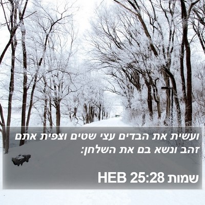 שמות 25:28 HEB Bible Verse Image