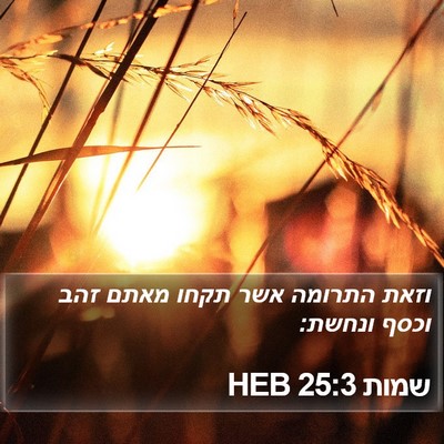 שמות 25:3 HEB Bible Verse Image