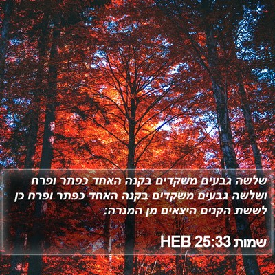 שמות 25:33 HEB Bible Verse Image