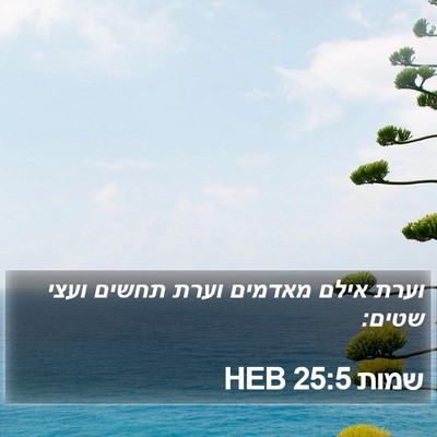 שמות 25:5 HEB Bible Verse Image