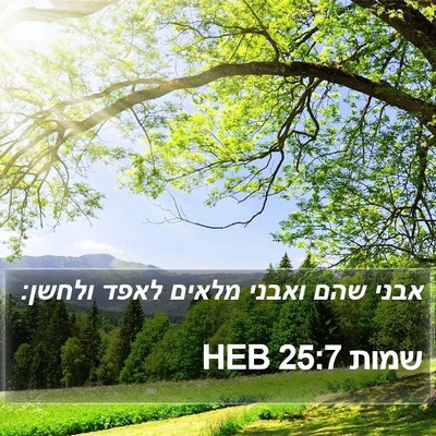 שמות 25:7 HEB Bible Verse Image