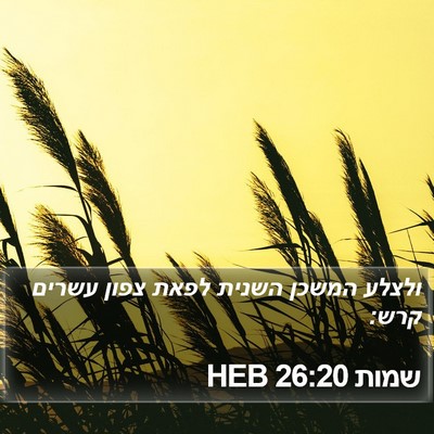 שמות 26:20 HEB Bible Verse Image