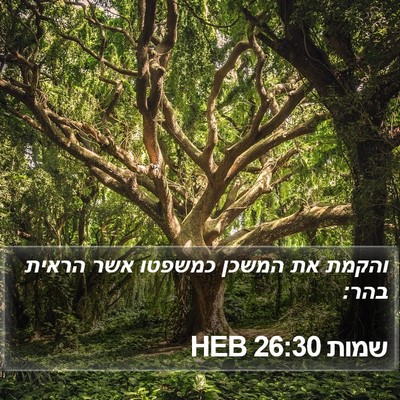 שמות 26:30 HEB Bible Verse Image