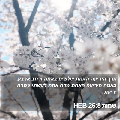 שמות 26:8 HEB Bible Verse Image