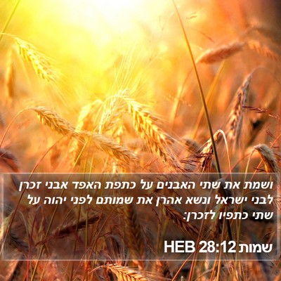 שמות 28:12 HEB Bible Verse Image
