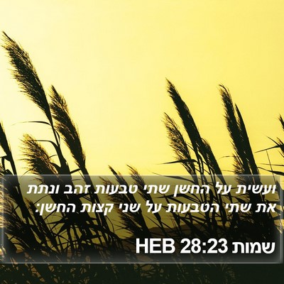 שמות 28:23 HEB Bible Verse Image
