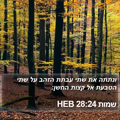 שמות 28:24 HEB Bible Verse Image