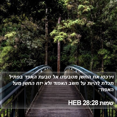 שמות 28:28 HEB Bible Verse Image