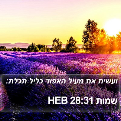 שמות 28:31 HEB Bible Verse Image