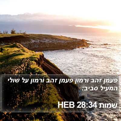 שמות 28:34 HEB Bible Verse Image