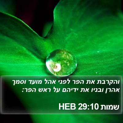 שמות 29:10 HEB Bible Verse Image