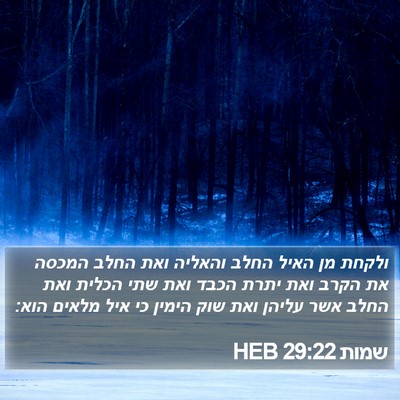 שמות 29:22 HEB Bible Verse Image