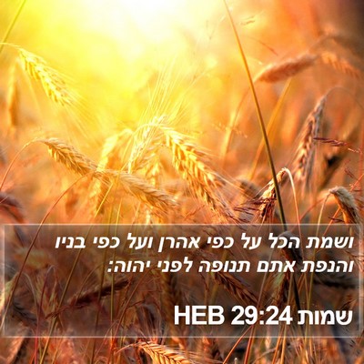 שמות 29:24 HEB Bible Verse Image