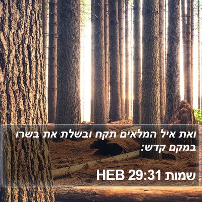 שמות 29:31 HEB Bible Verse Image