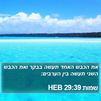 שמות 29:39 HEB Bible Verse Image