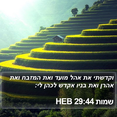 שמות 29:44 HEB Bible Verse Image