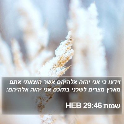 שמות 29:46 HEB Bible Verse Image