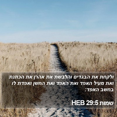 שמות 29:5 HEB Bible Verse Image