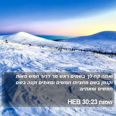 שמות 30:23 HEB Bible Verse Image