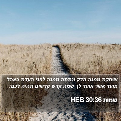 שמות 30:36 HEB Bible Verse Image