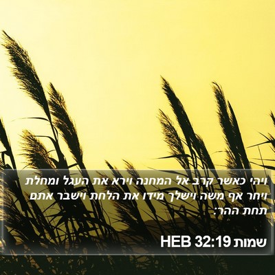שמות 32:19 HEB Bible Verse Image