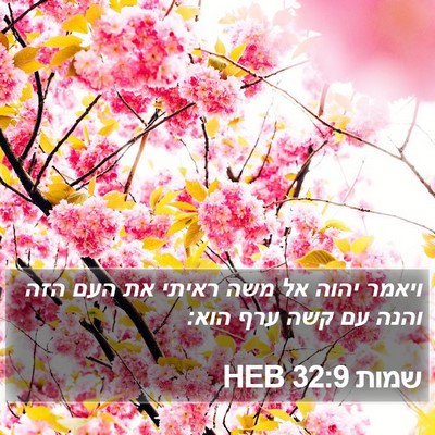 שמות 32:9 HEB Bible Verse Image