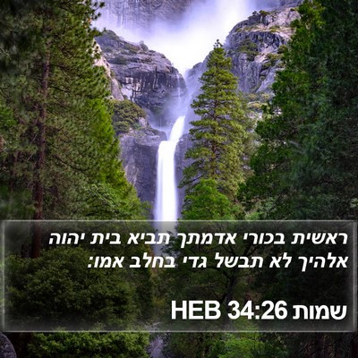 שמות 34:26 HEB Bible Verse Image