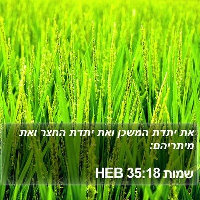 שמות 35:18 HEB Bible Verse Image