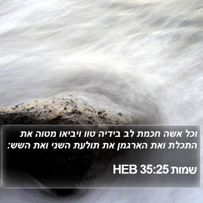 שמות 35:25 HEB Bible Verse Image