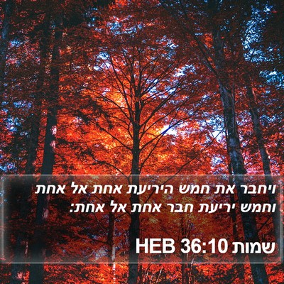 שמות 36:10 HEB Bible Verse Image