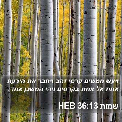 שמות 36:13 HEB Bible Verse Image