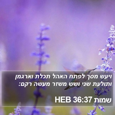 שמות 36:37 HEB Bible Verse Image