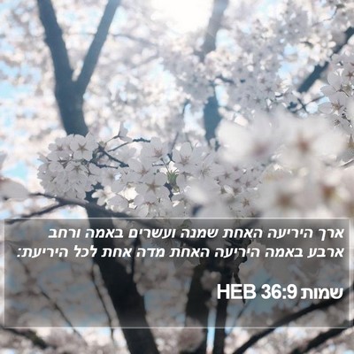 שמות 36:9 HEB Bible Verse Image