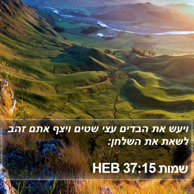 שמות 37:15 HEB Bible Verse Image