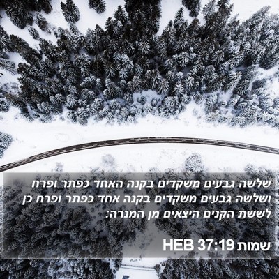 שמות 37:19 HEB Bible Verse Image