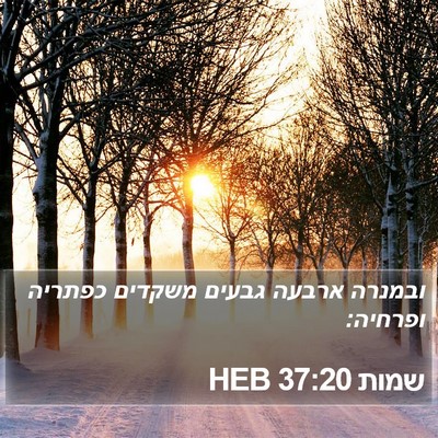 שמות 37:20 HEB Bible Verse Image