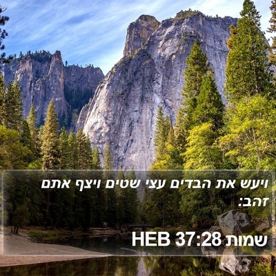 שמות 37:28 HEB Bible Verse Image