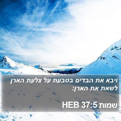 שמות 37:5 HEB Bible Verse Image