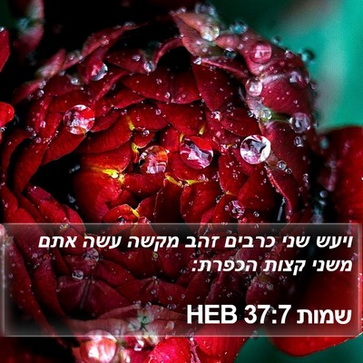 שמות 37:7 HEB Bible Verse Image