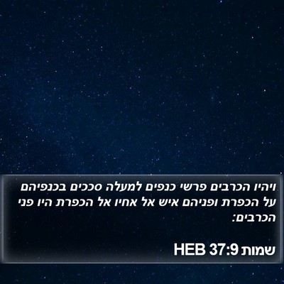 שמות 37:9 HEB Bible Verse Image