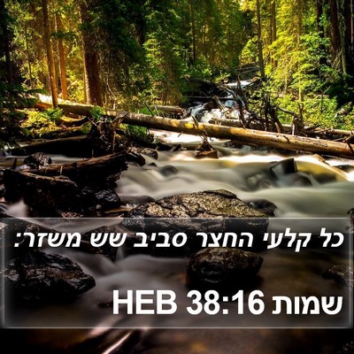 שמות 38:16 HEB Bible Verse Image