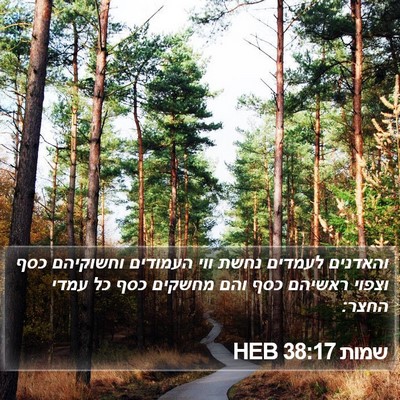 שמות 38:17 HEB Bible Verse Image